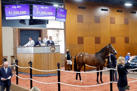 Business grows rapidly with sale of Fasig-Tipton-Midlantic