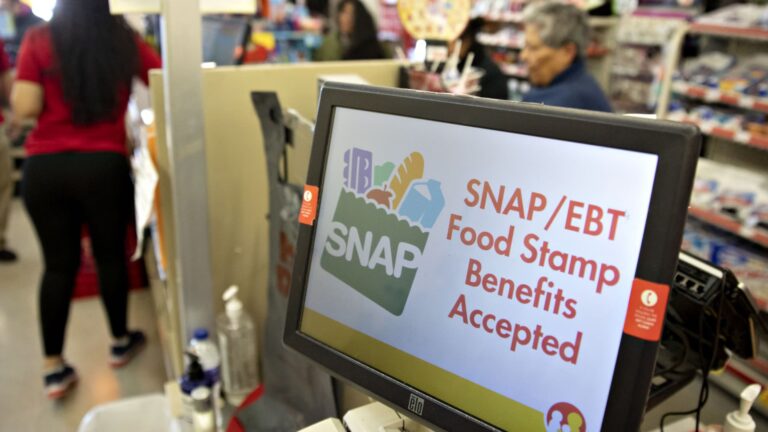 States sue over SNAP food stamps funds cutoff