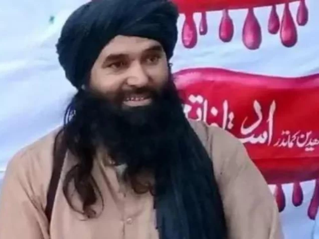 TTP suffers major blow as ex-deputy chief killed