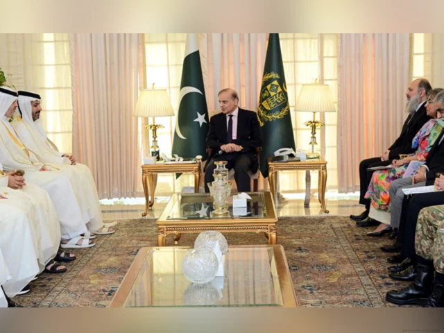 PM urges Qatar to invest under SIFC, lauds Doha’s mediation role