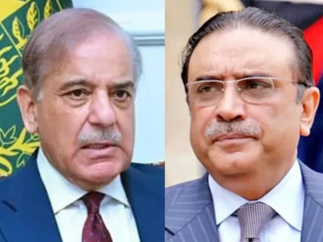 Zardari, Shehbaz discuss coalition possibilities