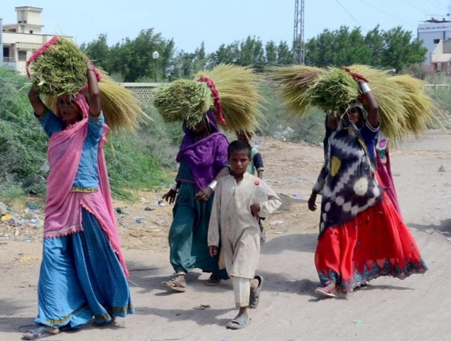 ‘No improvement for rural poor’