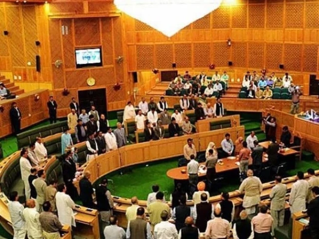 PPP secures simple majority to form AJK govt