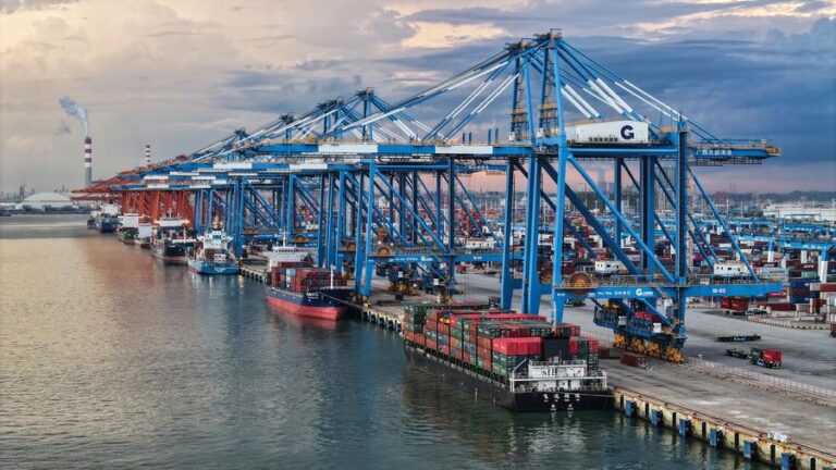 China’s landmark trade corridor cargo volume surges-Xinhua