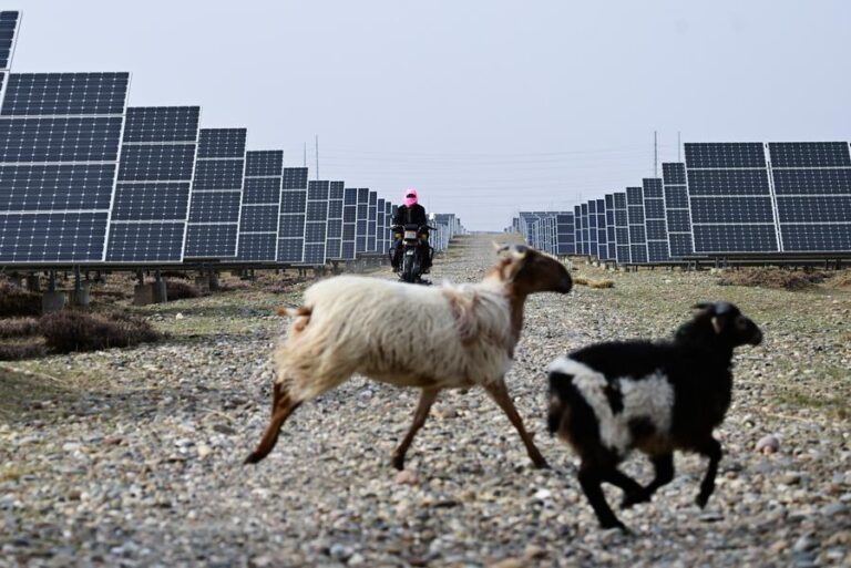 How China’s green transition is reshaping rural lives-Xinhua