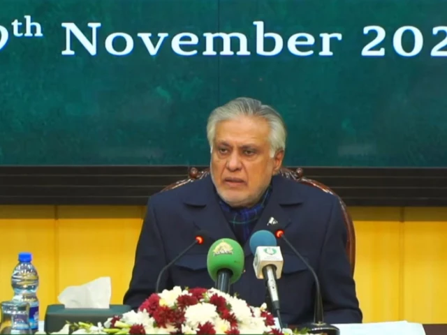 Dar dismisses reports Pakistan will join Gaza peacekeeping force to disarm Hamas