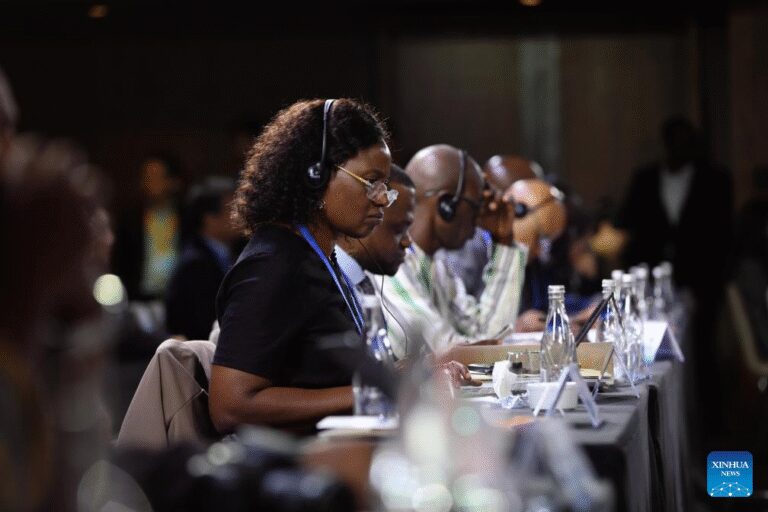 China-Africa Partnership Conference highlights cooperation toward shared global governance-Xinhua