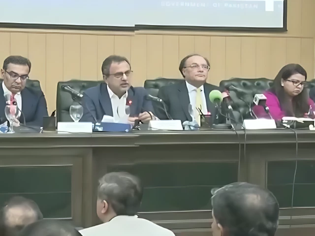 Govt outlines reform roadmap for tax, energy and technology