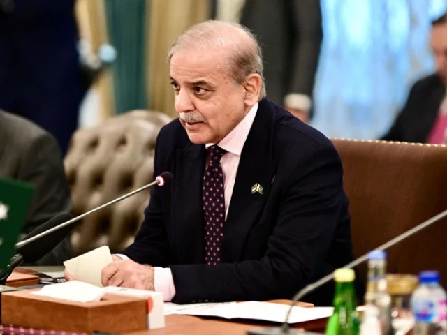 PM Shehbaz to consult allies on 27th Constitutional Amendment