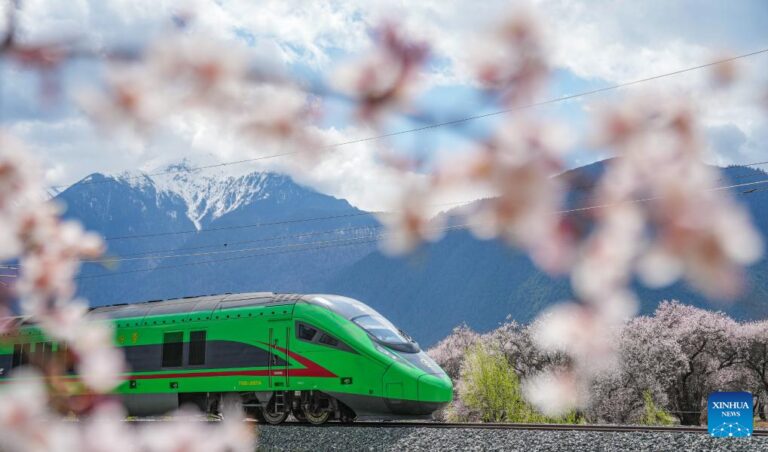 China’s railway passenger trips hit new record in first 11 months-Xinhua