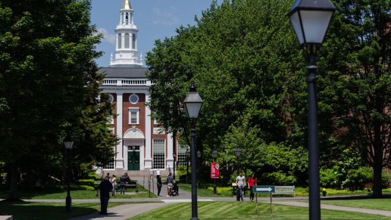 What Harvard researchers learned about human use of AI in office work