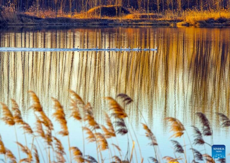 Winter scenery across China-Xinhua