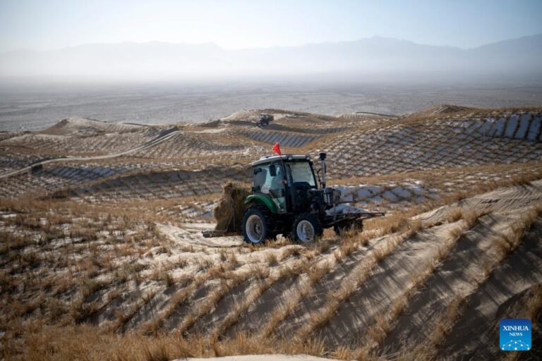 Desert control project underway in Aksay, China’s Gansu-Xinhua