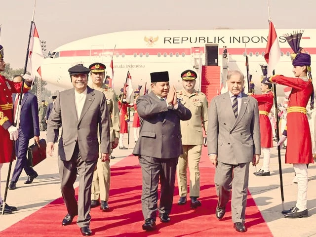 Red carpet rolled out for Indonesian president