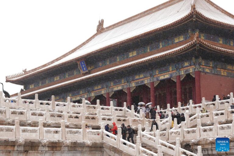 Beijing witnesses first snowfall this winter-Xinhua