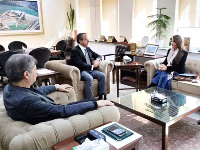 Minister Leghari meets US Ambassador, seeks support for Pakistan’s power sector reforms