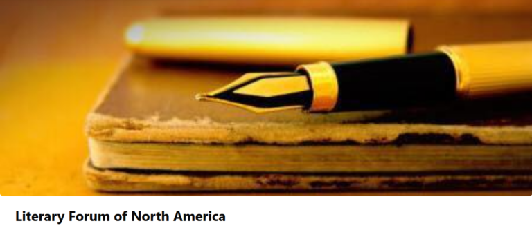 The brilliant disorder of the digital literary world