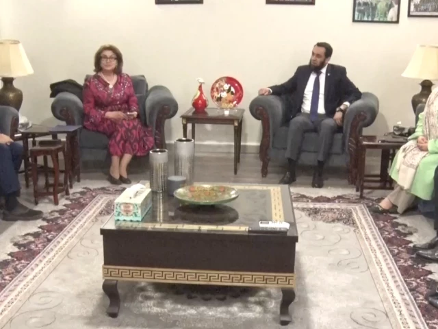 Pakistan, Tajikistan discuss cultural and digital cooperation