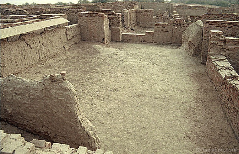 In the gaze of a 4,000-year-old monkey