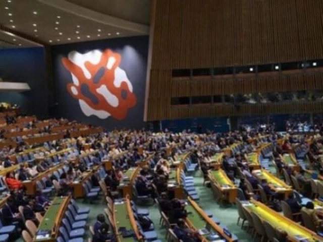 UNGA adopts resolution on peaceful settlement of Palestine