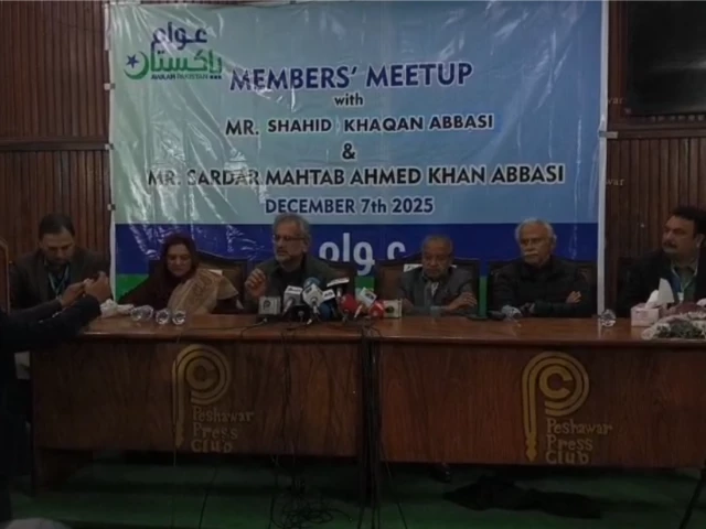 26th, 27th constitutional amendments ‘a blot on the Constitution’: Khaqan Abbasi