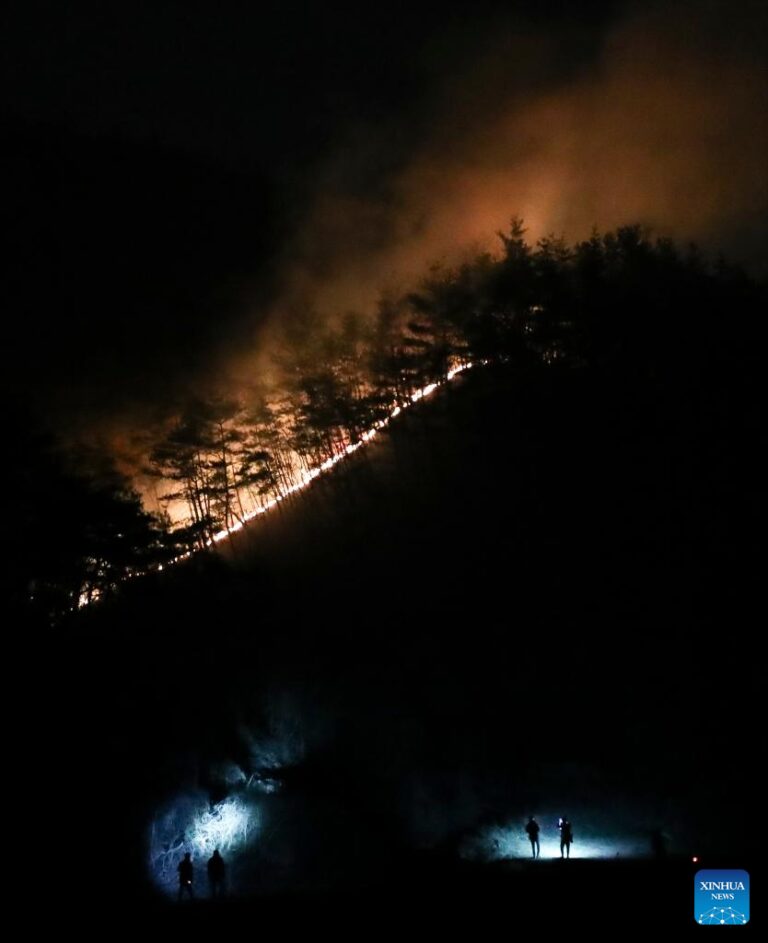 Xinhua pictures of the year 2025: World news-Xinhua