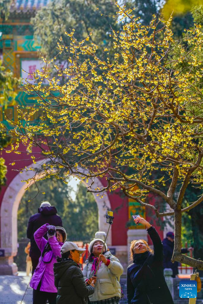 Winter scenery across China in eleventh lunar month-Xinhua