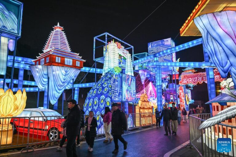 Lantern festival held in Chongqing to celebrate upcoming Chinese New Year-Xinhua