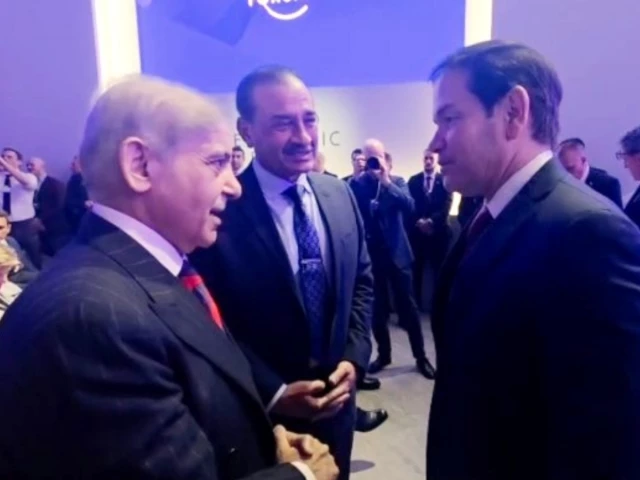 PM Shehbaz, Field Marshal Munir meet US state secretary in busy Davos engagements
