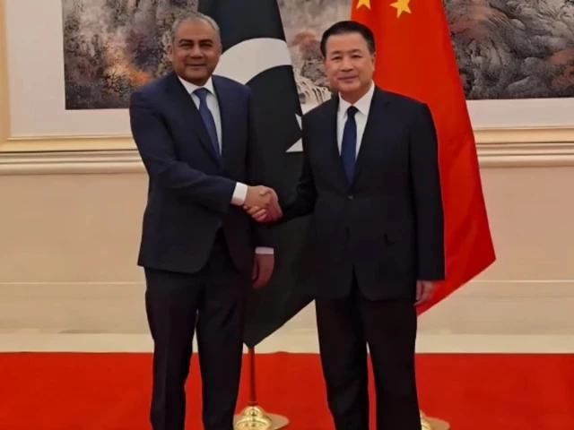 Pakistan to set up special unit in Islamabad to protect Chinese citizens