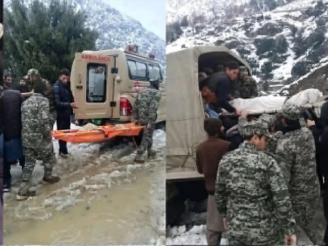 9 killed as avalanche hits house in K-P’s Lower Chitral