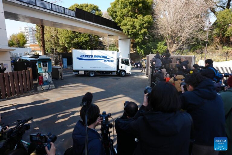 Last remaining twin giant pandas in Japan depart for China-Xinhua