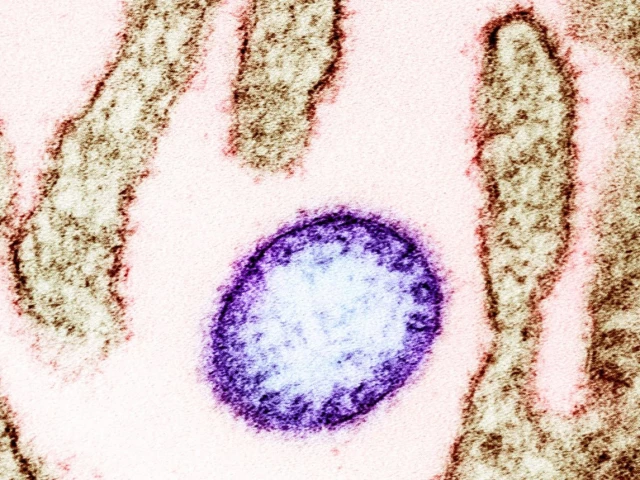 K-P issues province-wide alert over possible Nipah virus threat