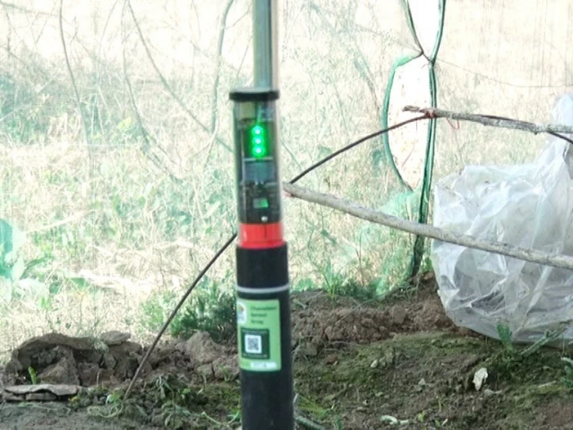 K-P adopts smart sensors to save water, boost crop yields