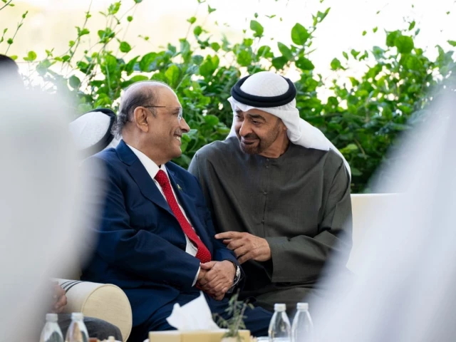 Pakistan, UAE committed to peace, stability while taking stock of regional developments