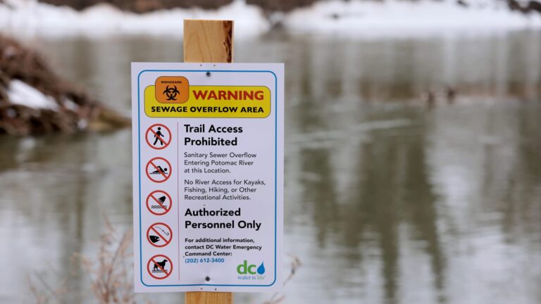 Trump approves disaster assistance for sewage spill into Potomac River