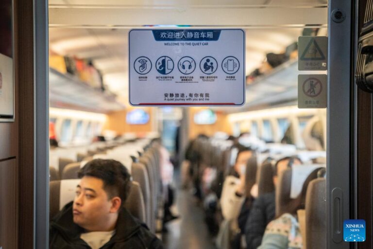 Over 8,000 high-speed trains across China to provide quiet car services-Xinhua