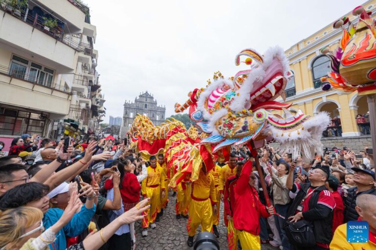 Dragon dance staged in Macao to celebrate Spring Festival-Xinhua