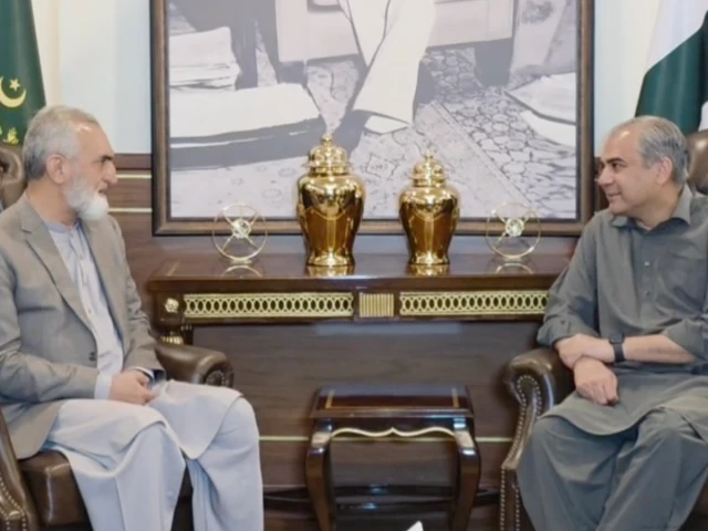 Naqvi, G-B caretaker CM discuss law and order, CTD rollout