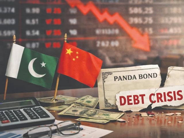 Panda bond plan hits a snag