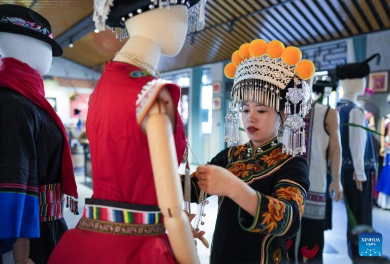 NPC deputy modernizes ancient Yi embroidery-Xinhua