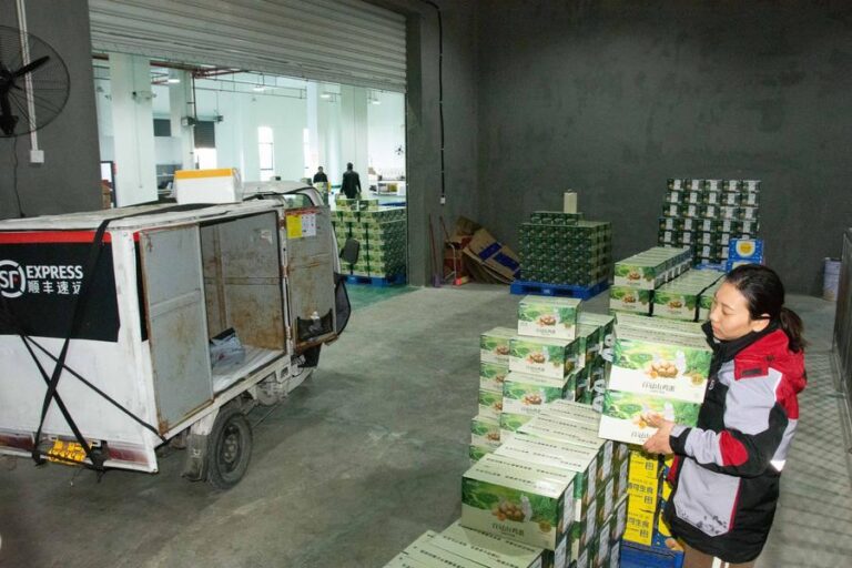 China’s postal industry maintains steady growth in first two months-Xinhua