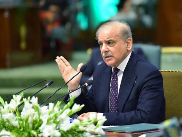 PM Shehbaz invites parliamentary leaders for in-camera briefing on Middle East crisis