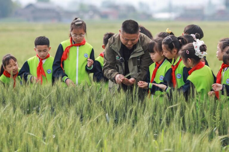 Spring break in China invigorates students, spurs travel-Xinhua