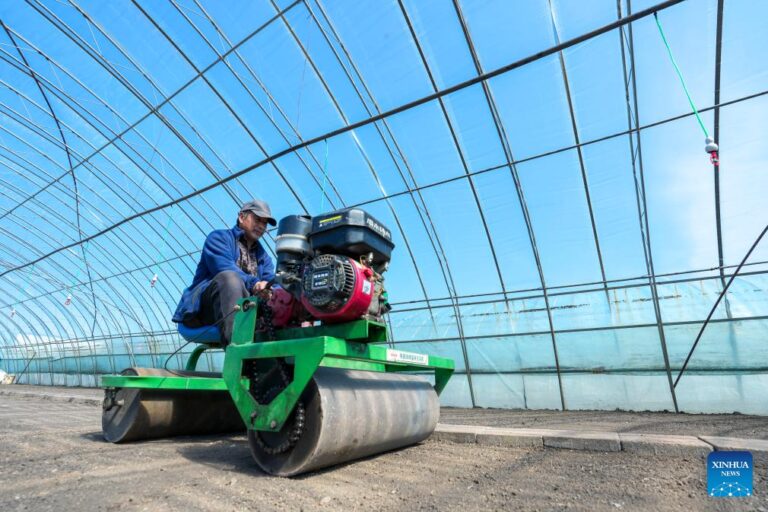 NE China’s Heilongjiang enters spring ploughing season for rice-Xinhua