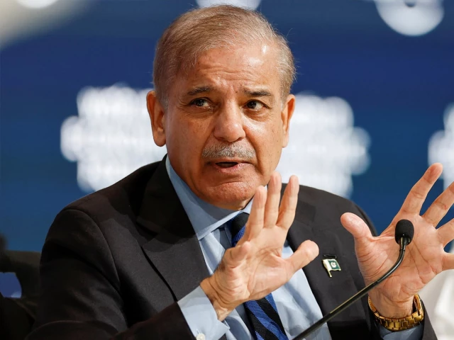 PM Shehbaz commends US, Gulf nations for ‘giving peace a chance’