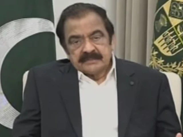 Sanaullah defends fuel price hike, links it to global crisis